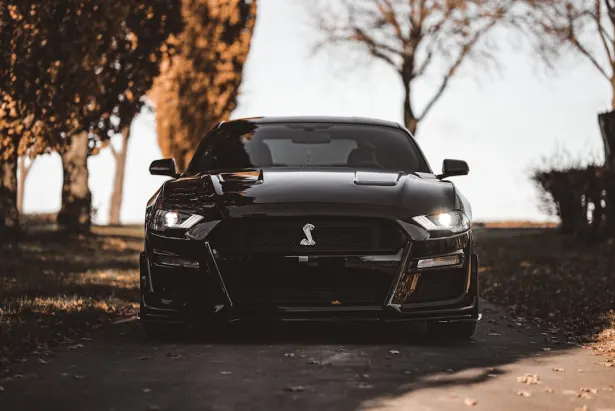 Казино Голден Пелъс Android/iOS приложение